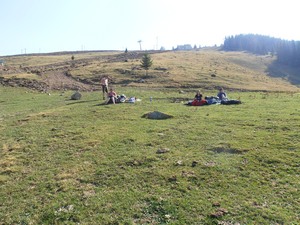 Apuseni