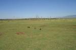 nebo co! - 