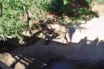 nebo jen dostal hlad - 