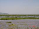 Jezero plné ptáků, - 