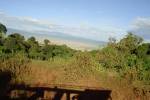 Lodge - 