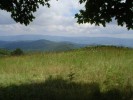 ... do dáli, ... - 