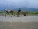 Sandokan a jeho koník. - 