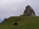 Fagaraš - 