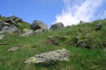 Fagaraš - 