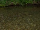 P8151538.JPG - 