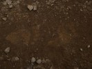 P8151541.JPG - 