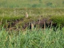 P8191669.JPG - 