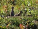 P8201682.JPG - 