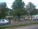 A nejhorší jsou stopaři. Ty potvory vám vlezou opravdu všude. (Stopaři na výjezdu z Bukurešti jsou nebezpečnější než krávy.)  - 