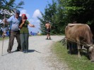 0182-v sedle na polonině Svidovec - vy dvě, koukejte se se mnou vyfotit - 