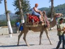 Aspendos - 