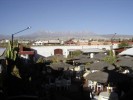 DSC01219_resize - 