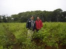policko koky - 