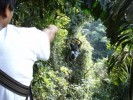 DSC00836_resize - 