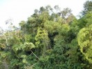DSC00849_resize - 