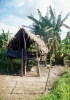 Amazonie - hostel - 