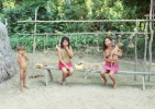 Amazonky - 