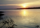 Amazonka - 