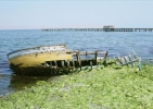 R001-004.JPG - 