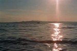 __9_0888.jpg - 