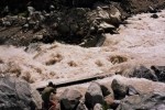 __0_0854.jpg - 