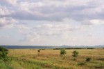 __0_0727.jpg - 