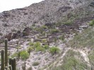 Ruinas de Quilmes - 