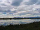 IMG_1497.jpg - 