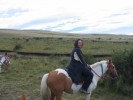 hura na konicky, Kalafate - 