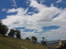 IMG_1690.jpg - 