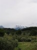 IMG_1723.jpg - 