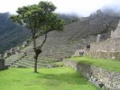 Machu Picchu - 