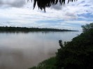Amazonka - 