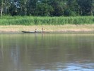Amazonka - 
