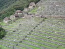 Machu Picchu - 