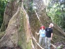Amazonie - 