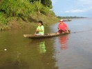 Amazonka - 