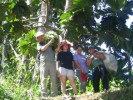 Amazonie - 