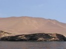 Paracas - Trojzubec - 