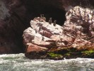 Paracas, ostrovy Ballestas - 