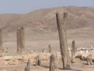 Nasca - Cahuachi - 