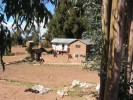 Titicaca - ostrov Amantani - 
