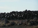 Titicaca, Amantani - kamenná zeď - 
